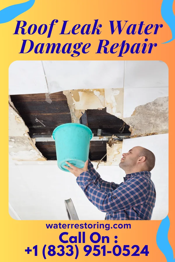 Roof Leak Water Damage Repair in Trinity Village, CA